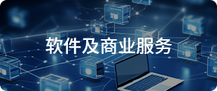 軟件及商業(yè)服務(wù)