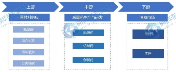 減重藥行業(yè)產(chǎn)業(yè)鏈