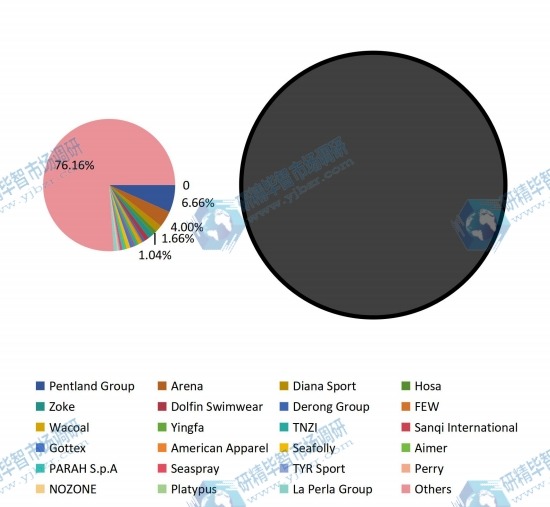 2016年全球供應(yīng)商泳裝銷售額市場份額