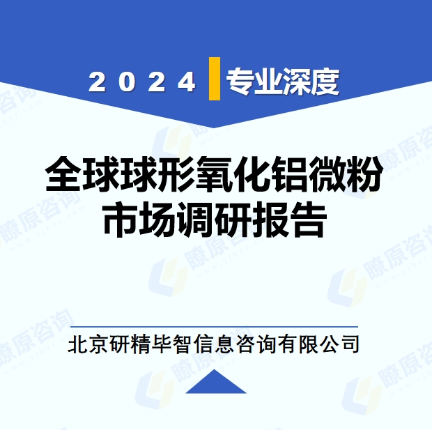 2024年全球球形氧化鋁微粉市場調(diào)研報告