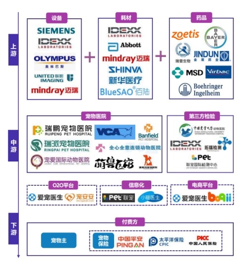 寵物醫(yī)療器械產(chǎn)業(yè)鏈