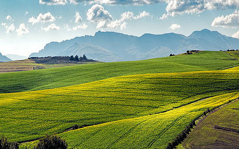 中央一號(hào)文件打出政策&ldquo;組合拳&rdquo;，促進(jìn)農(nóng)產(chǎn)品價(jià)格企穩(wěn)回升