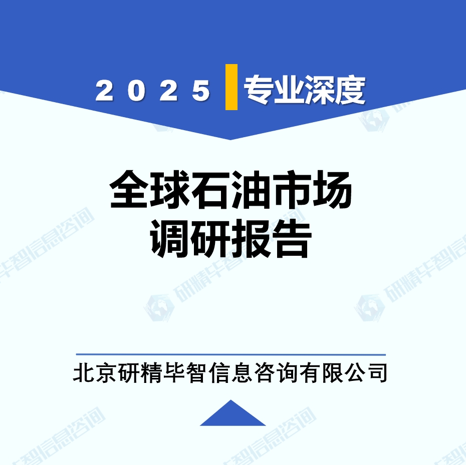 石油行業(yè)動(dòng)態(tài)監(jiān)測(cè)調(diào)研報(bào)告（2025年6月）