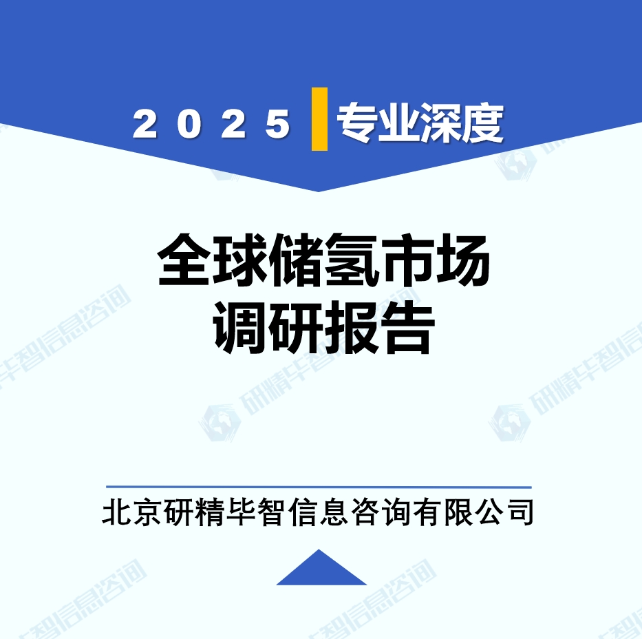 制氫行業(yè)動(dòng)態(tài)監(jiān)測(cè)調(diào)研報(bào)告（2025年6月）